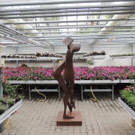 DSCN2447_JPG-1369694183