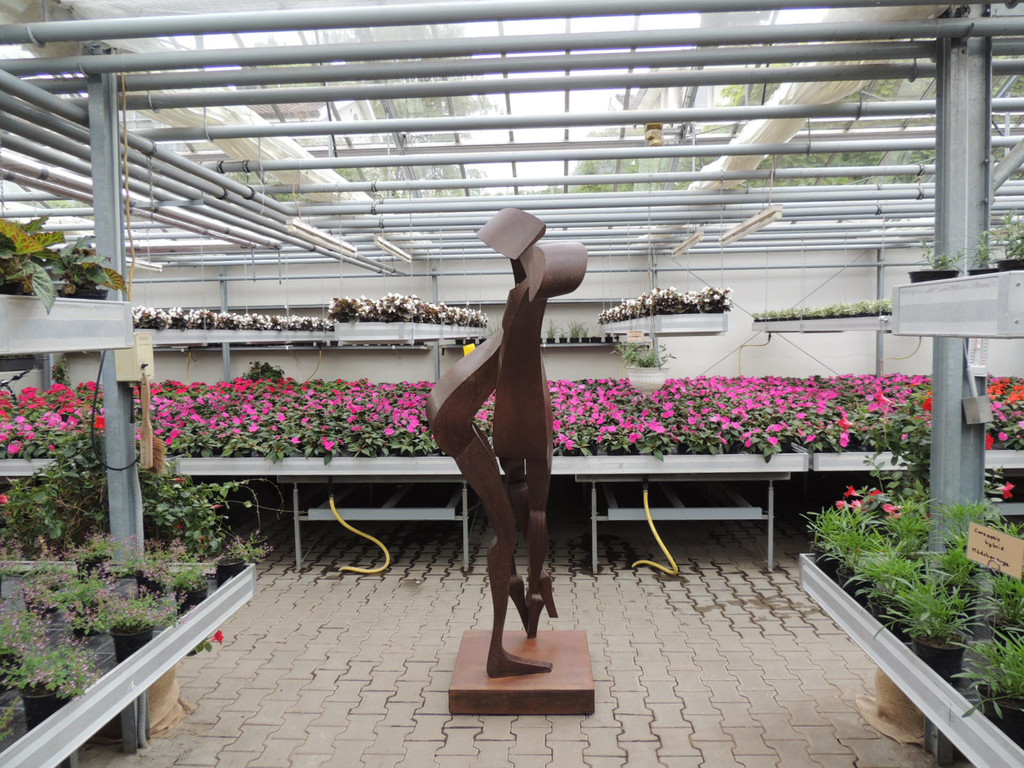 DSCN2447_JPG-1369694183