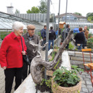 DSCN2459_JPG-1369694194