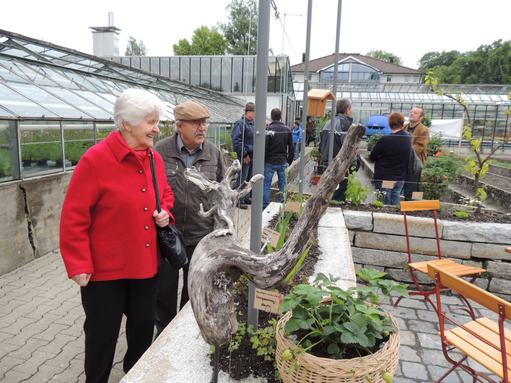 DSCN2459_JPG-1369694194