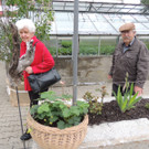 DSCN2460_JPG-1369694198