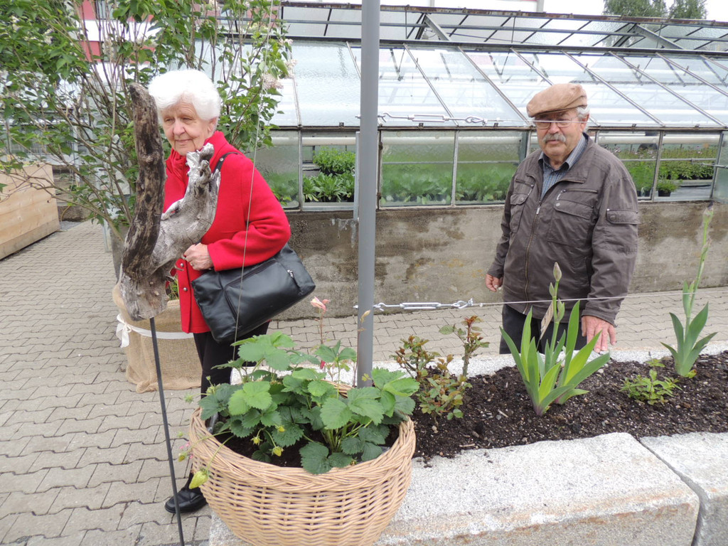 DSCN2460_JPG-1369694198