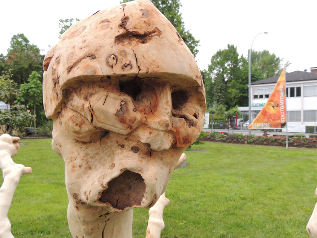 DSCN2465_JPG-1369694202