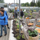 DSCN2466_JPG-1369694206