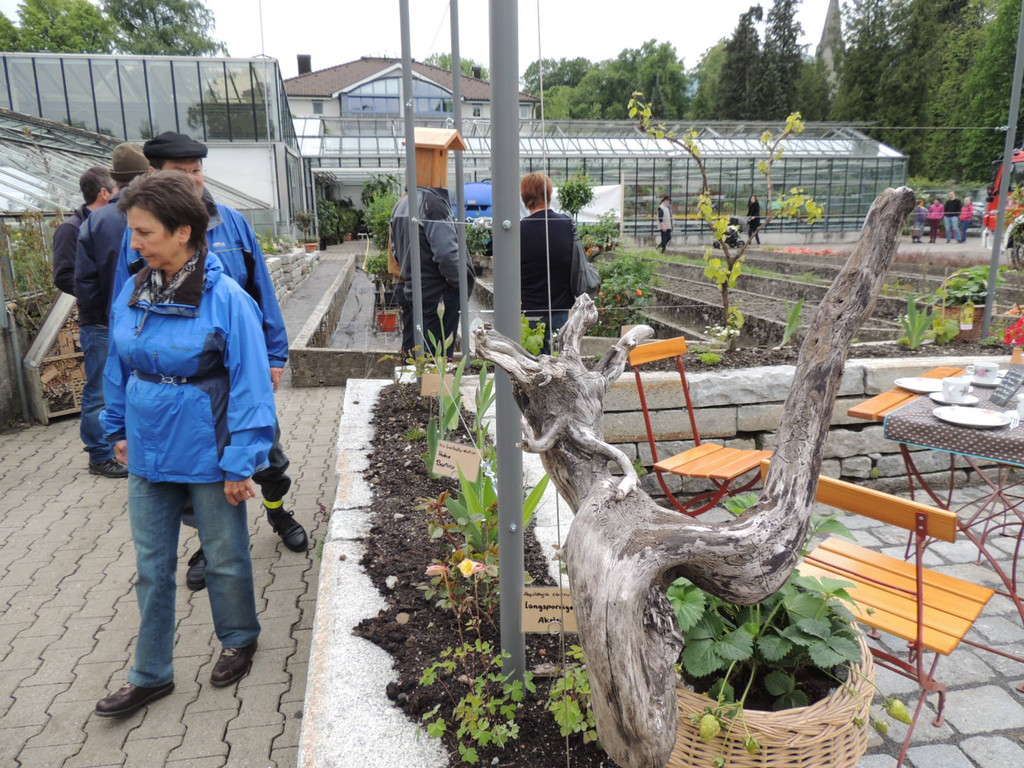 DSCN2466_JPG-1369694206