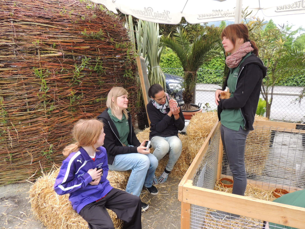 DSCN2477_JPG-1369694229