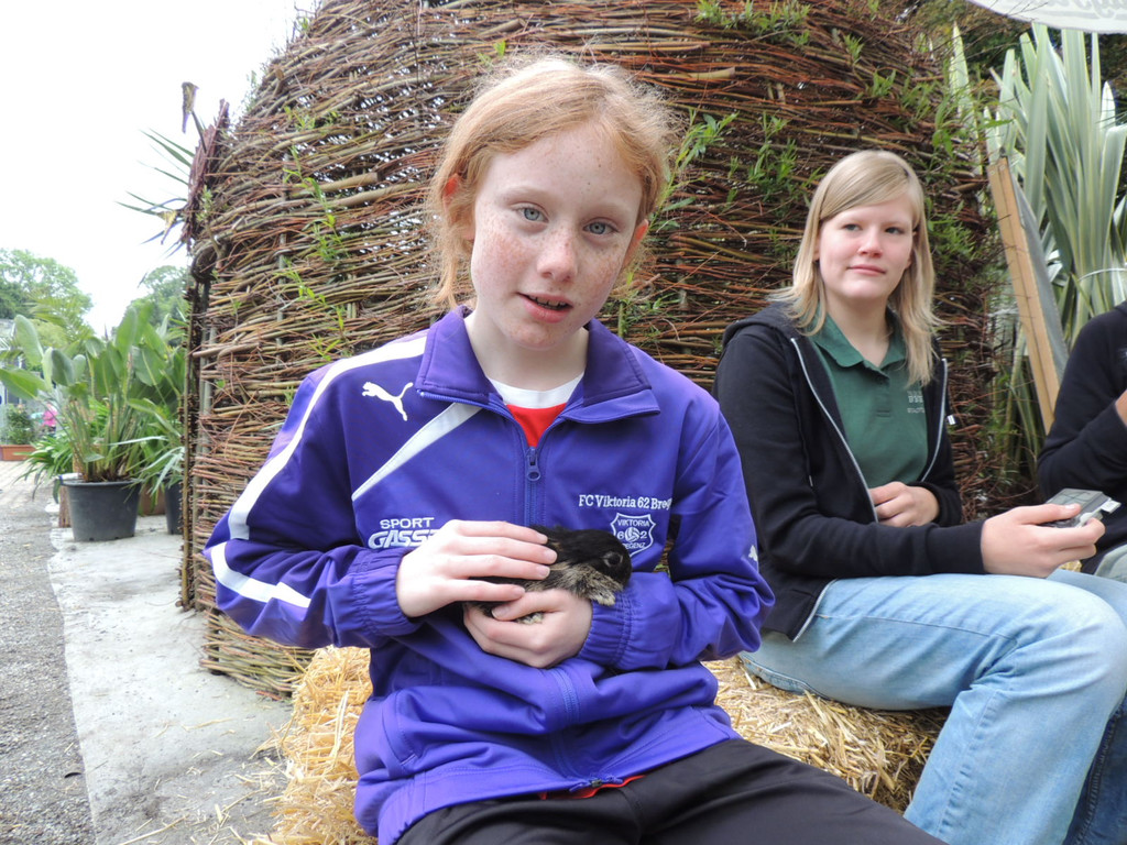 DSCN2478_JPG-1369694232