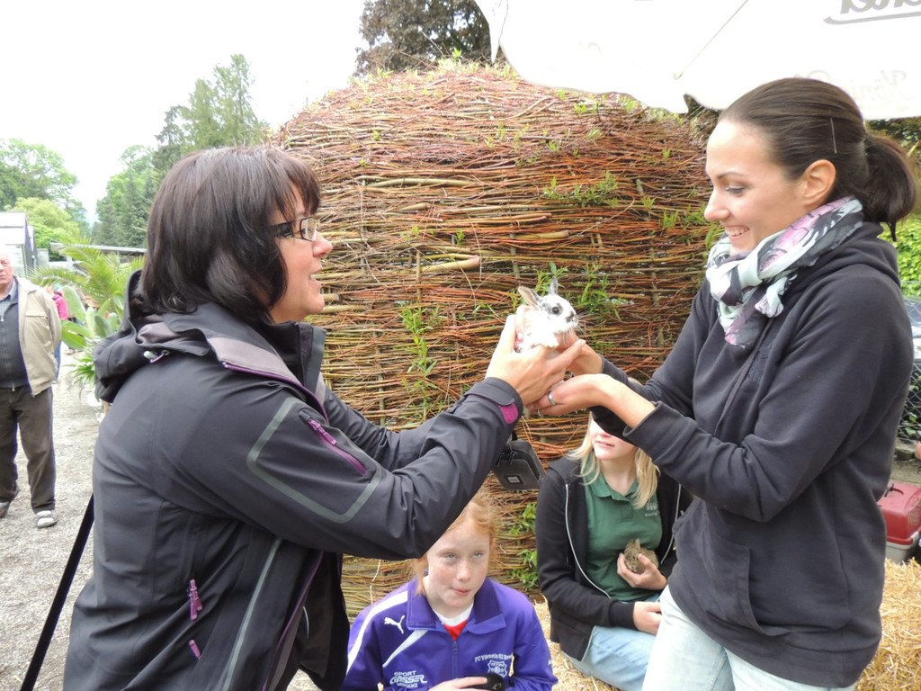 DSCN2484_JPG-1369694236