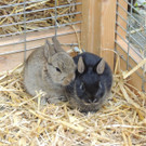 DSCN2499_JPG-1369694245