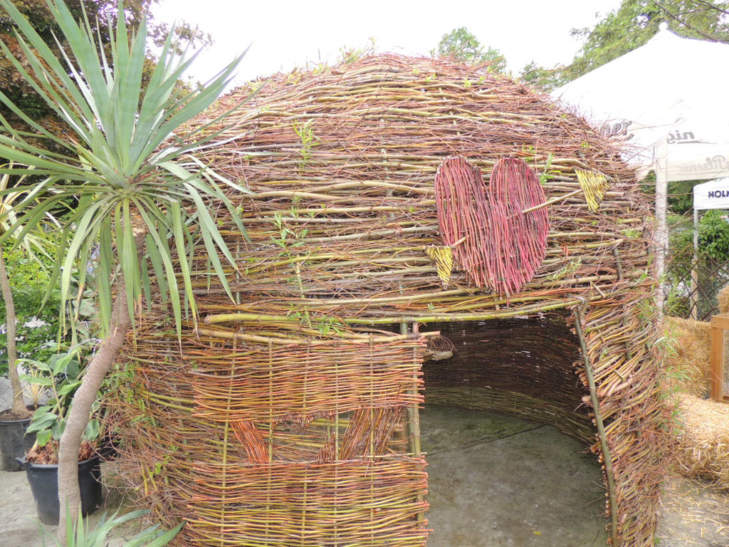 DSCN2505_JPG-1369694248