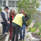 DSCN2519_JPG-1369694267