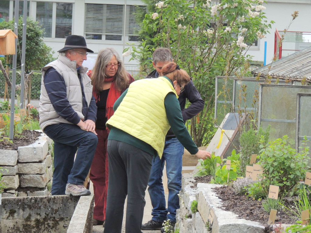 DSCN2519_JPG-1369694267