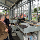 DSCN2522_JPG-1369694271