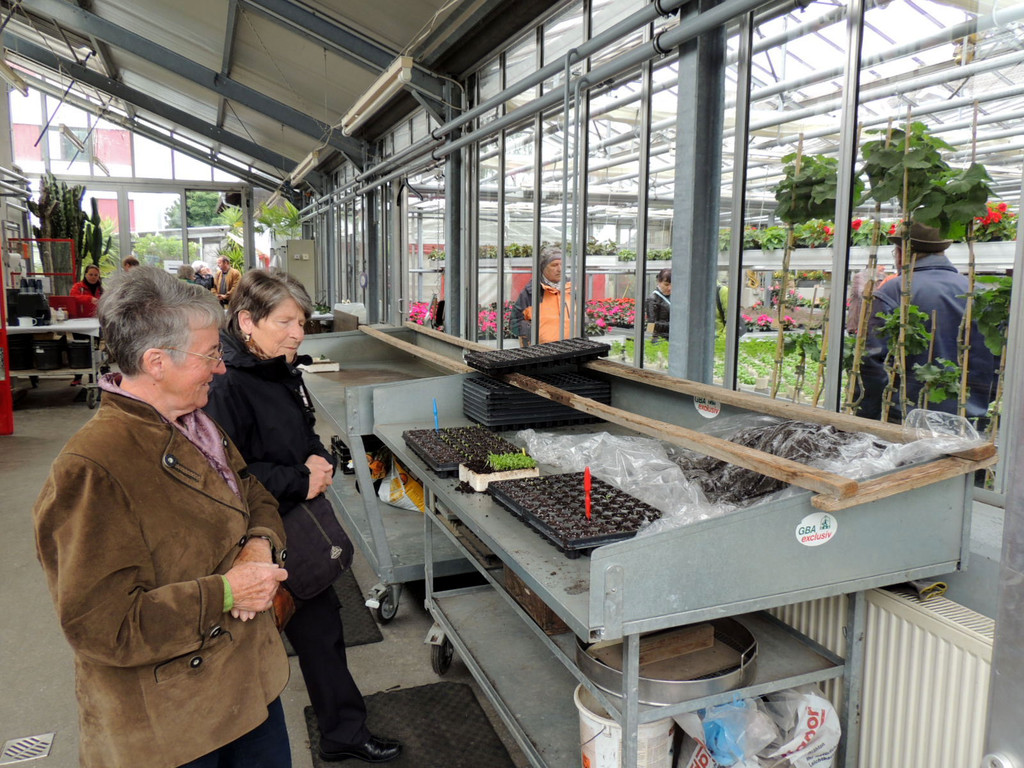 DSCN2522_JPG-1369694271