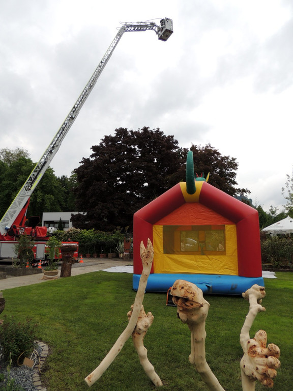 DSCN2525_JPG-1369694278