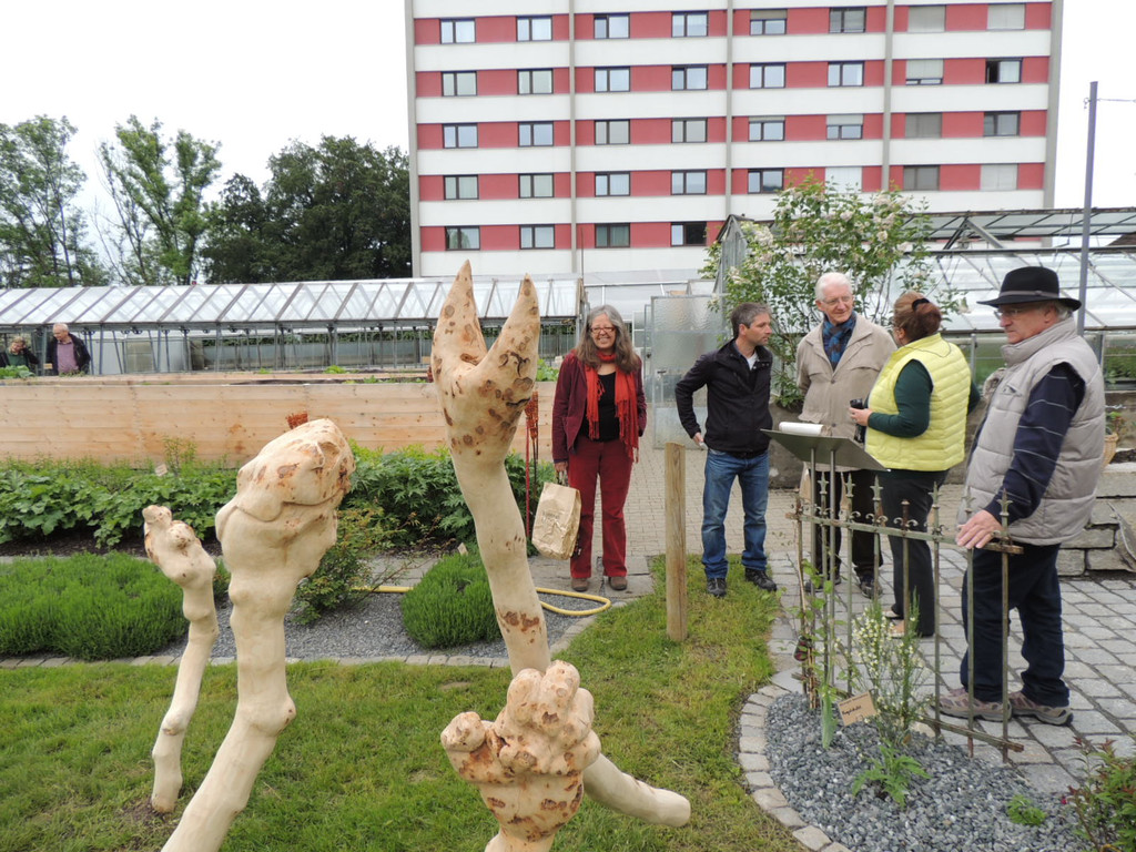 DSCN2528_JPG-1369694285