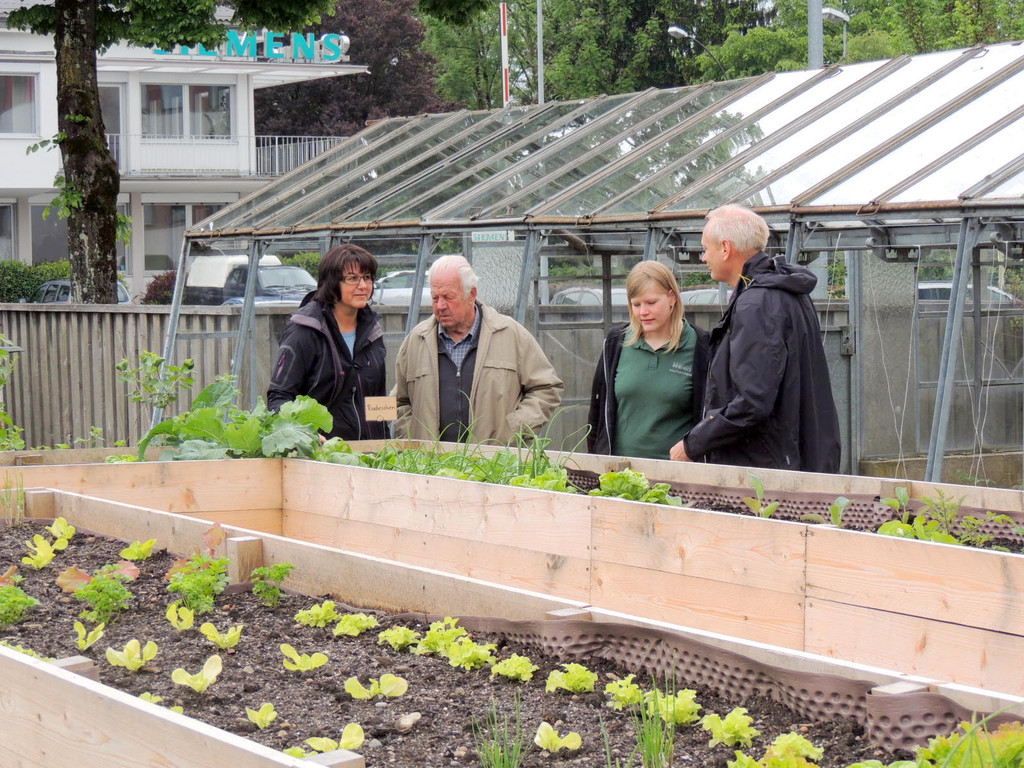 DSCN2530_JPG-1369694289