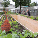 DSCN2531_JPG-1369694292