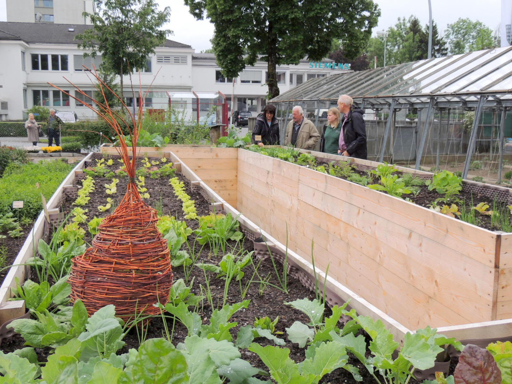 DSCN2531_JPG-1369694292