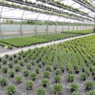 DSCN2535_JPG-1369694300