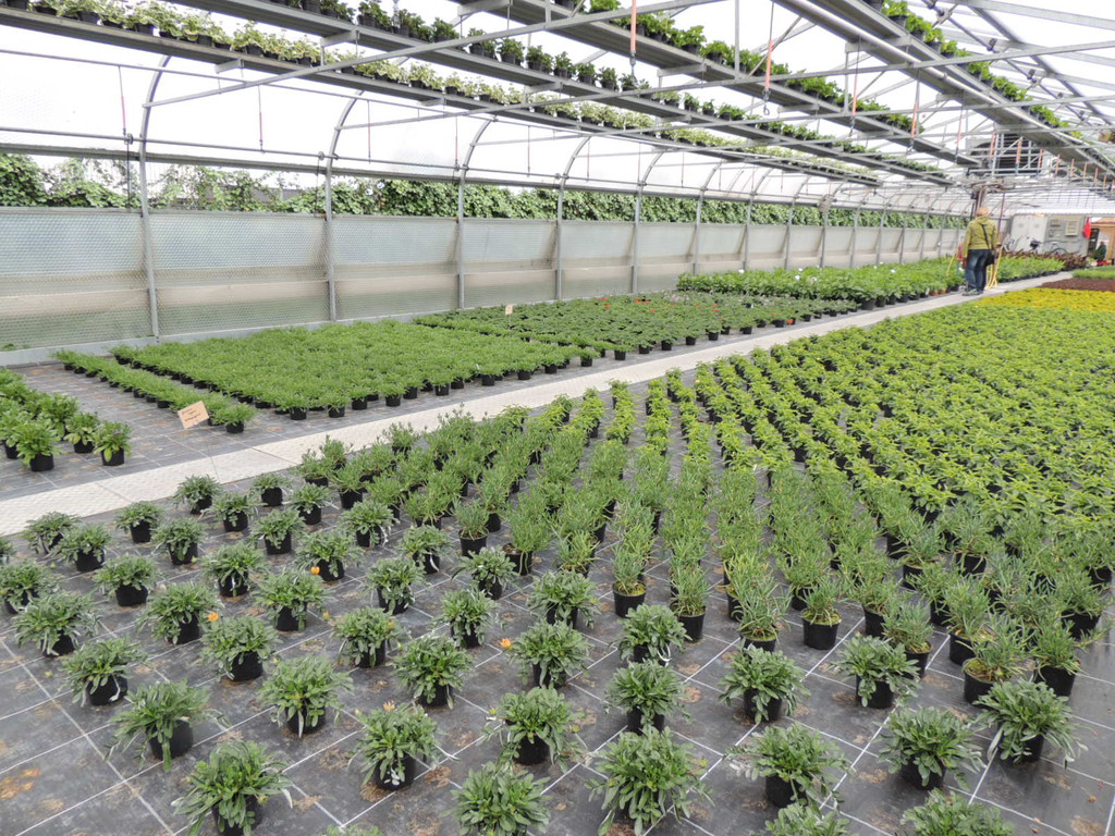 DSCN2535_JPG-1369694300