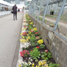 DSCN2536_JPG-1369694304