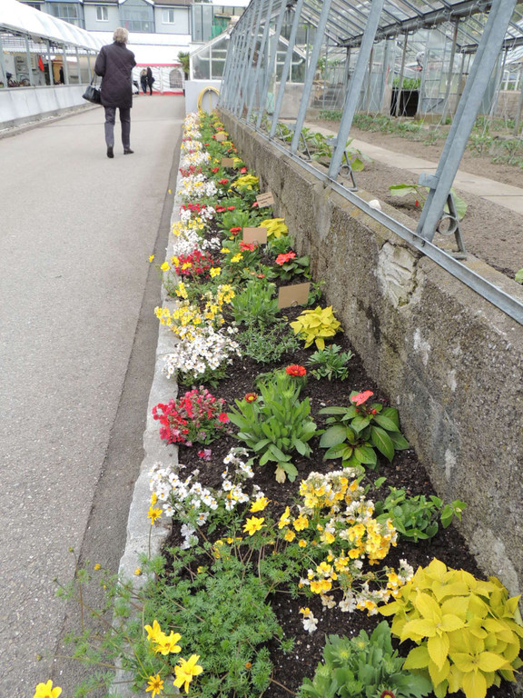 DSCN2536_JPG-1369694304