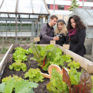 DSCN2543_JPG-1369694312