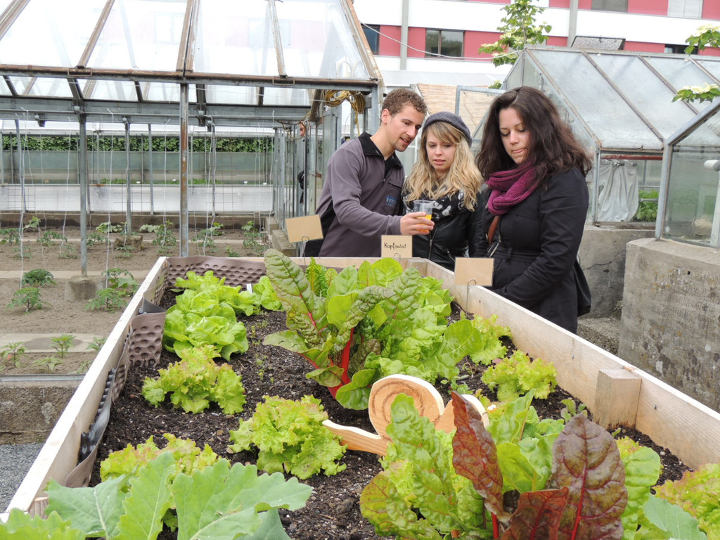 DSCN2543_JPG-1369694312