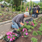 DSCN2562_JPG-1369694348