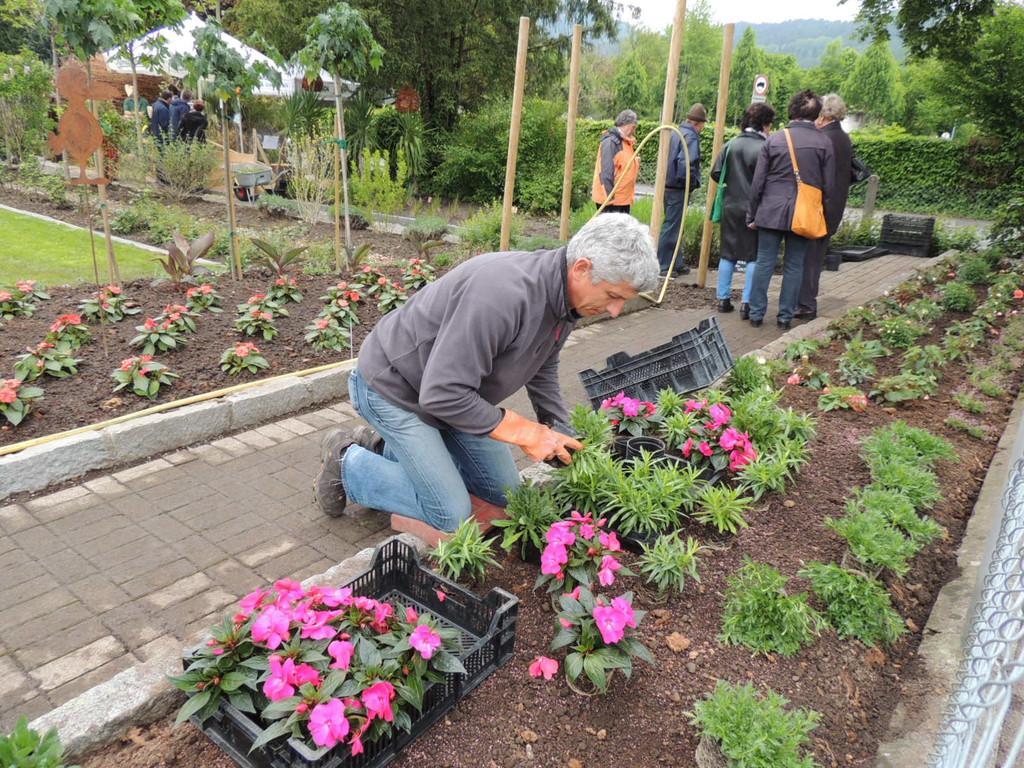 DSCN2562_JPG-1369694348