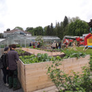 DSCN2549_JPG-1369694315