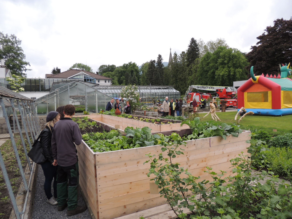 DSCN2549_JPG-1369694315