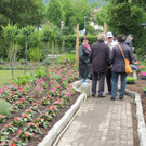 DSCN2553_JPG-1369694329