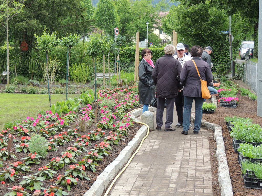 DSCN2553_JPG-1369694329