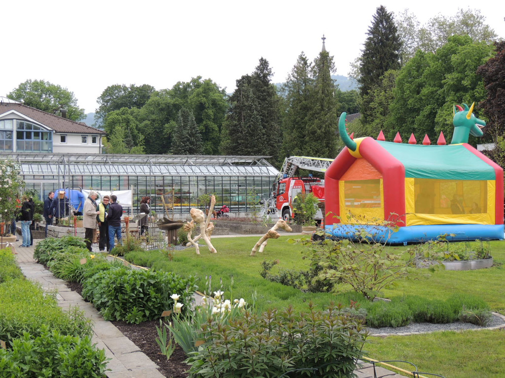 DSCN2554_JPG-1369694333