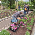 DSCN2559_JPG-1369694344