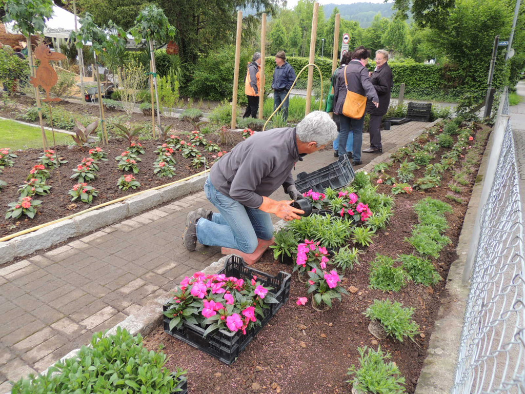 DSCN2559_JPG-1369694344