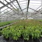 DSCN2555_JPG-1369694336