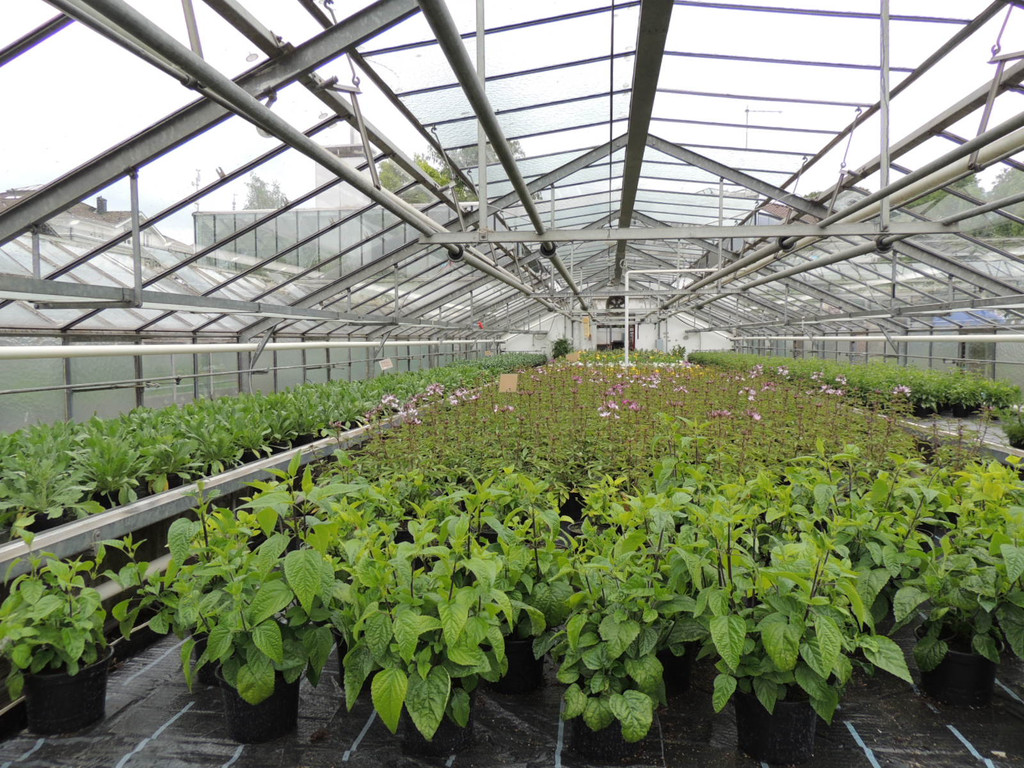 DSCN2555_JPG-1369694336