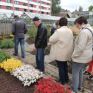 DSCN2558_JPG-1369694340