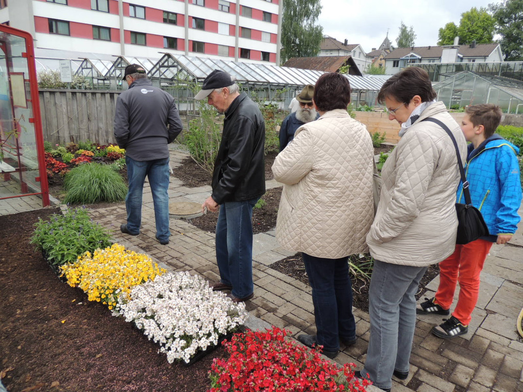 DSCN2558_JPG-1369694340