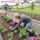 DSCN2564_JPG-1369694352