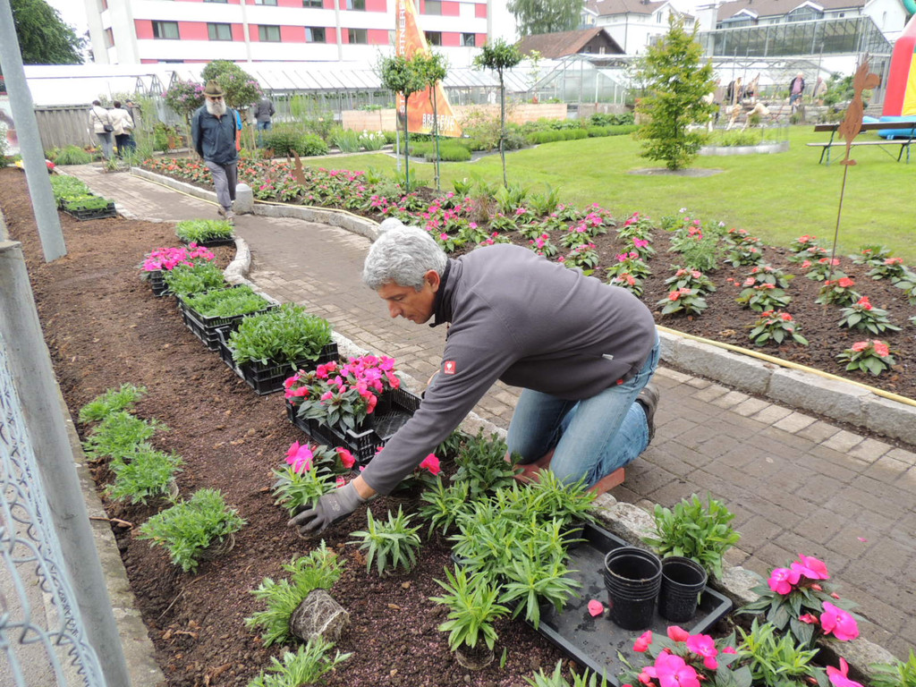 DSCN2564_JPG-1369694352