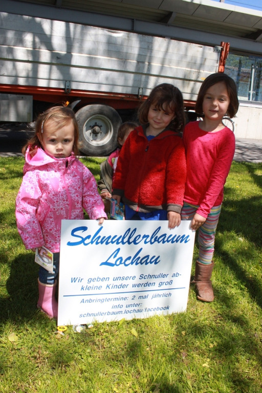 Schnullerbaum Mai 2013 _6__jpg-1369723935