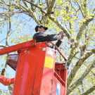 Schnullerbaum Mai 2013 _10__jpg-1369723963