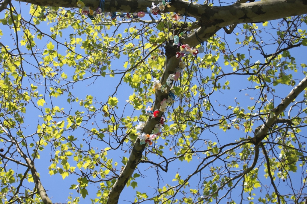 Schnullerbaum Mai 2013 _25__jpg-1369724068