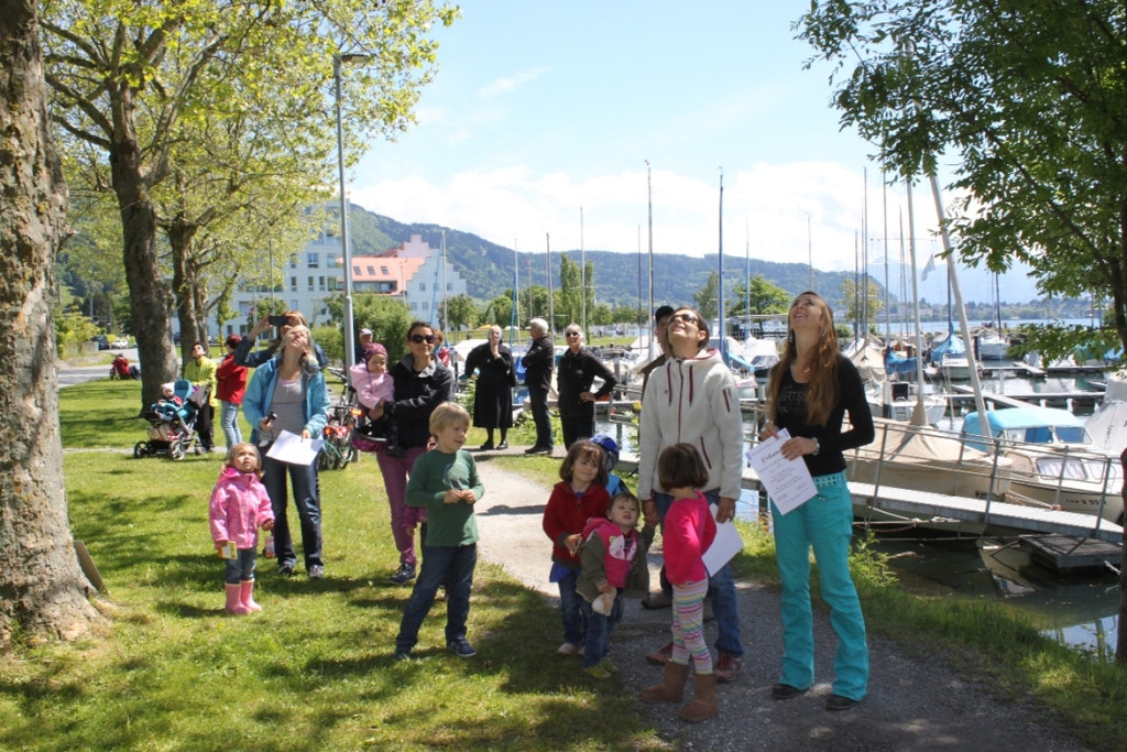 Schnullerbaum Mai 2013 _11__jpg-1369723970