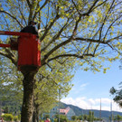 Schnullerbaum Mai 2013 _7__jpg-1369723943