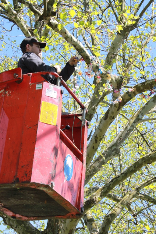 Schnullerbaum Mai 2013 _9__jpg-1369723957